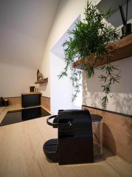 Le Cocon - Petit Studio 2 Couchages - Centre Historique Aubagne Dış mekan fotoğraf